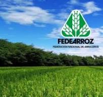 Photo of Fedearrroz pide seguridad para cultivadores
