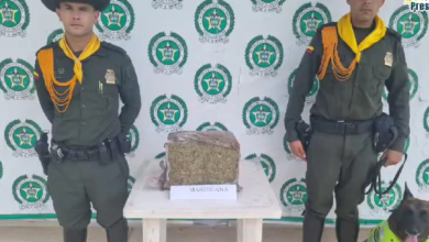 Photo of Incautan paquete con cargamento de marihuana
