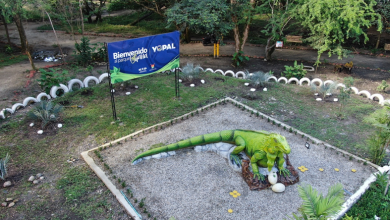 Photo of En marcha plan de acción para la protección del parque La Iguana